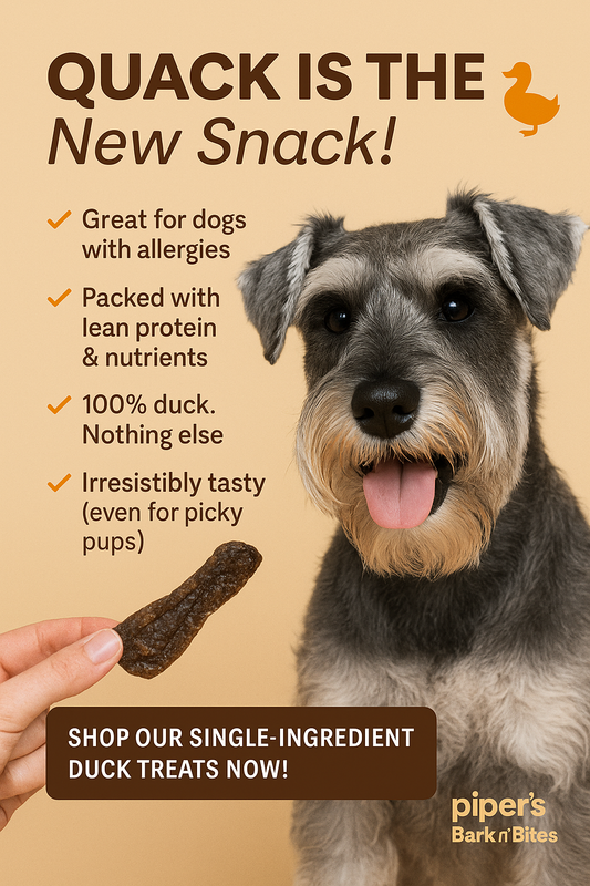 🦆 Why Duck Might Be Your Dog’s New Favorite Treat!