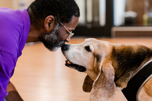 using treats for dog-human connection