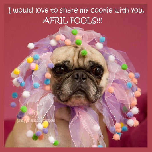 april fools day dog