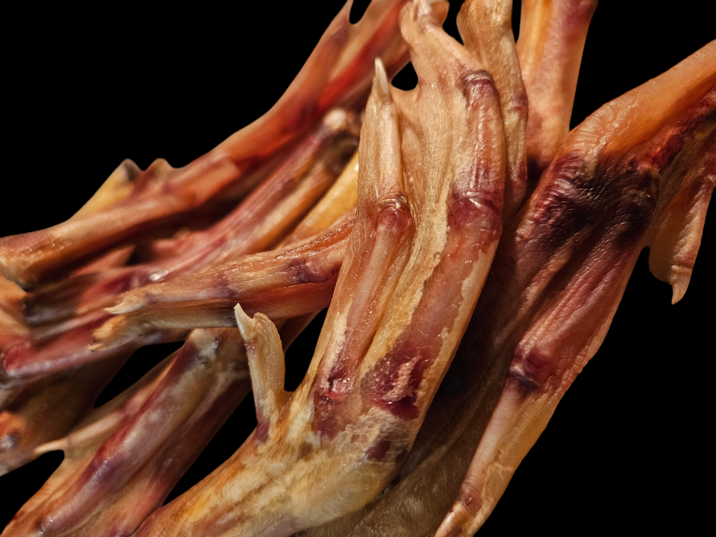 Duck Feet, Dehydrated Dog Treats