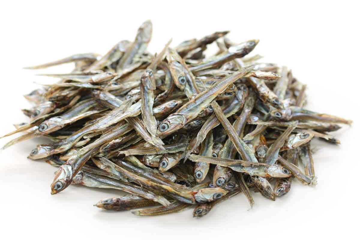 Anchovies Dog and Cat Treats, Dehydrated